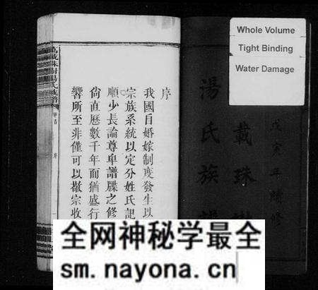 江西汤氏族谱-万载珠树汤氏族谱 [10卷,及卷首].pdf电子版预览图3
