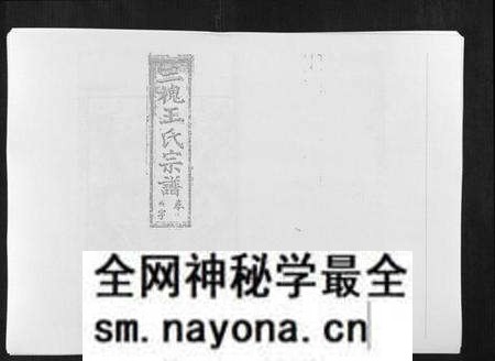 江西王氏族谱-复社王氏族谱.pdf电子版预览图