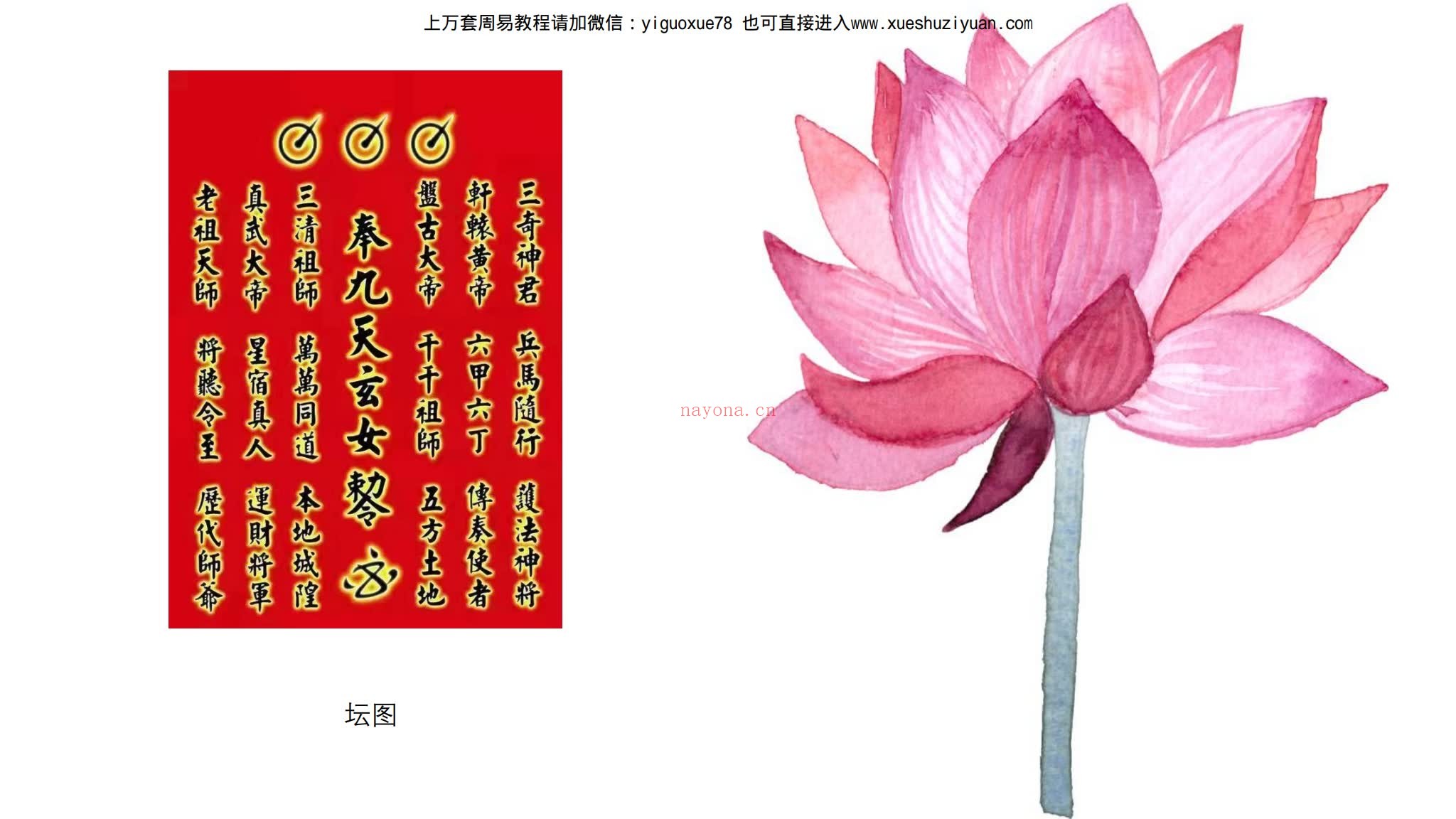 《九天玄女奇门四期》（视频10集+文档）