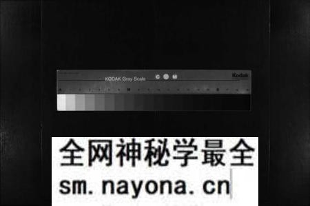 江西李氏族谱-李氏族谱 [4卷,首2卷].pdf电子版预览图