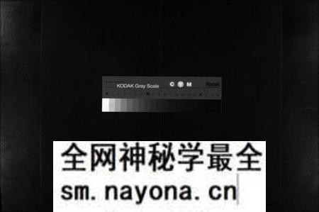 江西未知族谱-杨氏家谱 [不分卷].pdf电子版预览图