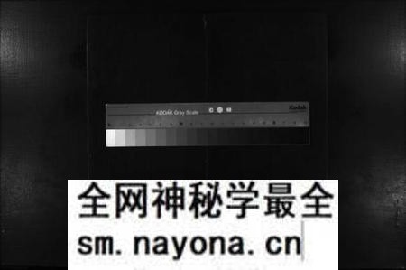 江西罗氏族谱-罗氏宗谱 [残卷].pdf电子版预览图
