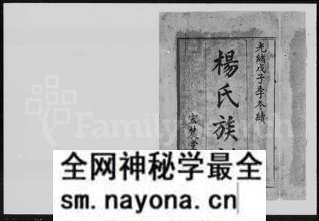 湖南杨氏族谱-杨氏续修族谱.pdf电子版预览图2
