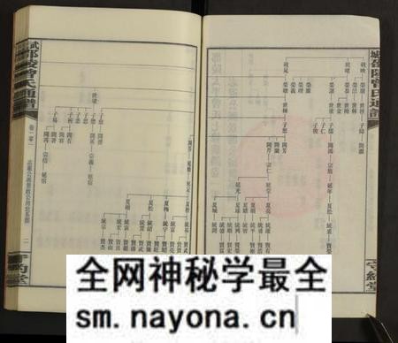 湖南曾氏族谱-邵陵太平曾氏通谱 [存第101卷].pdf电子版预览图3