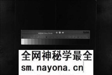 江西胡氏族谱-胡氏族谱 [3卷,首1卷].pdf电子版预览图