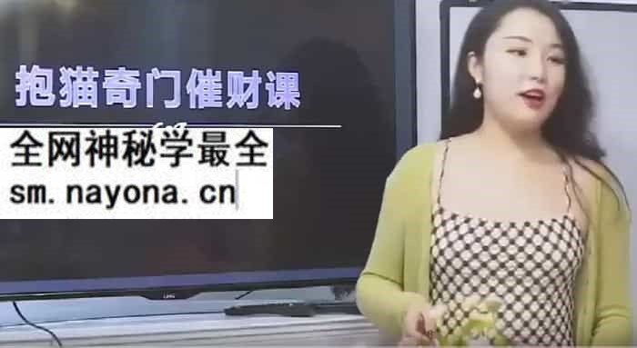 2021年9月抱猫杨倩雅奇门催财术视频12集