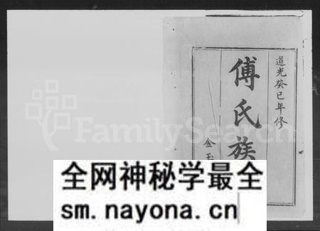 湖南傅氏族谱-傅氏族谱 [10卷,首2卷].pdf电子版预览图2