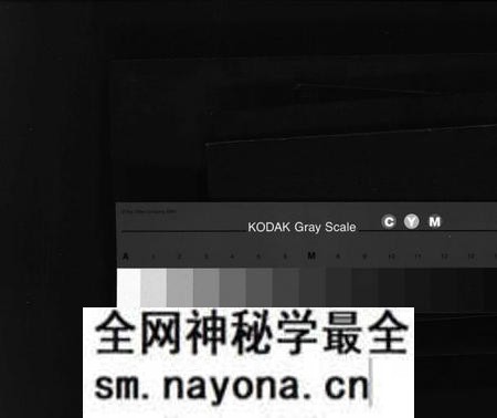 湖南李氏族谱-李氏宗谱 [不分卷].pdf电子版预览图