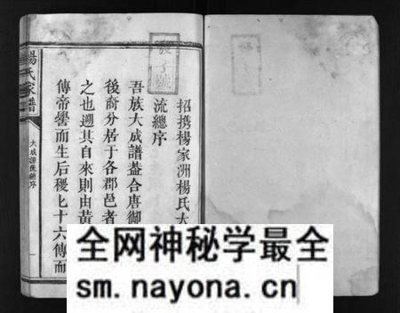 江西未知族谱-杨氏家谱 [不分卷].pdf电子版预览图2