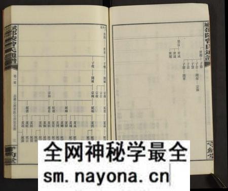 湖南曾氏族谱-邵陵太平曾氏通谱 [存第101卷].pdf电子版预览图4