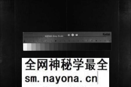 湖南杨氏族谱-杨氏家谱 [不分卷].pdf电子版预览图