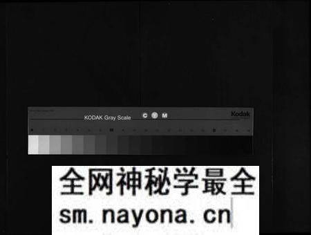 江西郭氏族谱-万载郭氏族谱 [卷数不详].pdf电子版预览图