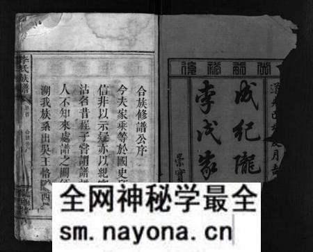 湖南李氏族谱-李氏族谱 [残卷].pdf电子版预览图2