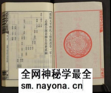 湖南曾氏族谱-邵陵太平曾氏通谱 [存第101卷].pdf电子版预览图2