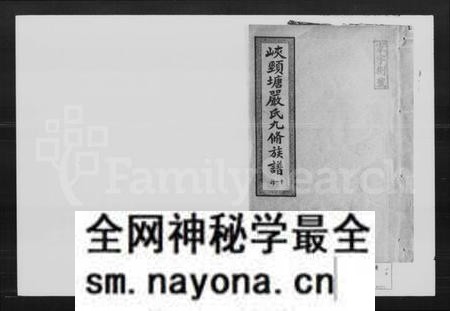 湖南严氏族谱-严氏九修族谱.pdf电子版预览图1