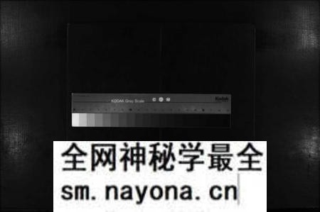 湖南杨氏族谱-杨氏族谱 [不分卷].pdf电子版预览图