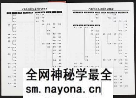 江西刘氏族谱-回辛上堡刘氏七修族谱 [存下卷].pdf电子版预览图4