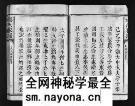 江西未知族谱-杨氏家谱 [不分卷].pdf电子版预览图4