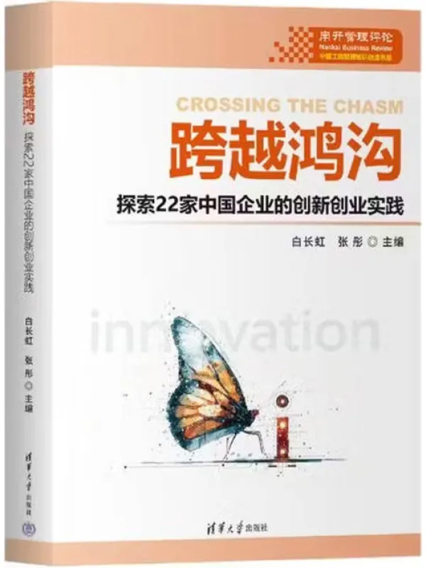 《跨越鸿沟》白长虹、张彤【文字版_PDF电子书_】 《跨越鸿沟》封面图片