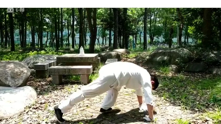 《回春—九宫绝学课程》视频13集