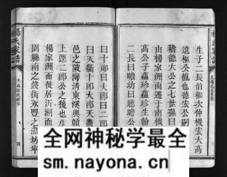 江西未知族谱-杨氏家谱 [不分卷].pdf电子版预览图5
