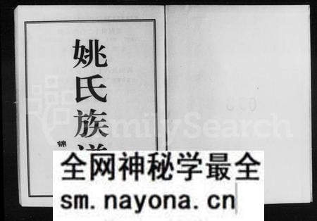 湖南姚氏族谱-姚氏族谱.pdf电子版预览图1