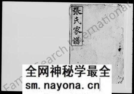 湖南张氏族谱-张氏家谱 [5卷,首1卷].pdf电子版预览图2