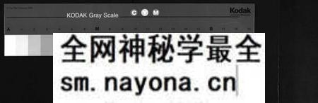 湖南胡氏族谱-胡氏族谱[2册].pdf电子版预览图