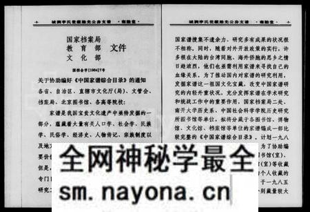 湖南李氏族谱-城涧李氏维先公房支谱.pdf电子版预览图4