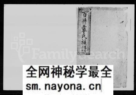 湖南袁氏族谱-袁氏八修族谱 [29卷首2卷].pdf电子版预览图1