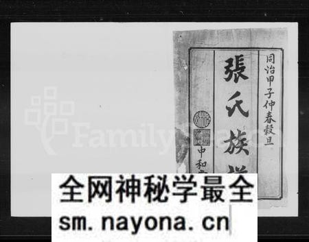 湖南张氏族谱-张氏族谱 [16卷,首1卷].pdf电子版预览图2