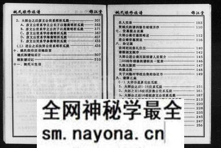 湖南姚氏族谱-姚氏族谱.pdf电子版预览图5