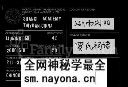 湖南罗氏族谱-罗氏祠谱.pdf电子版预览图