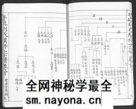 湖南刘氏族谱-平砥刘氏续修宗谱祥公椽房[总卷数不详].pdf电子版预览图5