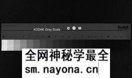 湖南黄氏族谱-黄氏族谱 [不分卷].pdf电子版预览图