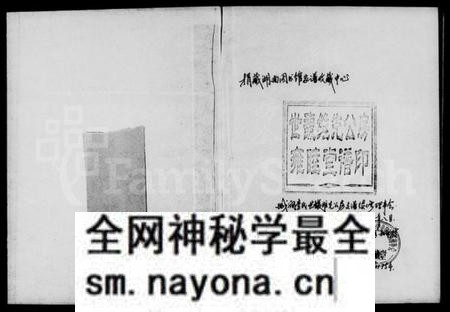 湖南李氏族谱-城涧李氏维先公房支谱.pdf电子版预览图1