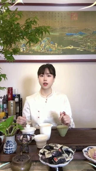 《丹道启蒙课-李法权归元丹炁》视频29集