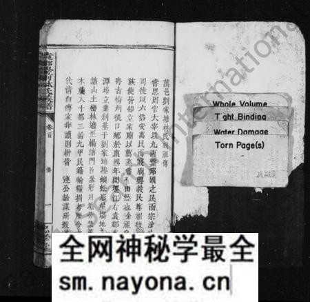 江西林氏族谱-林氏族谱 [残卷].pdf电子版预览图2