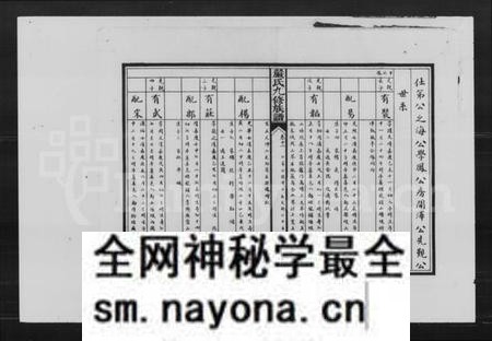 湖南严氏族谱-严氏九修族谱.pdf电子版预览图2