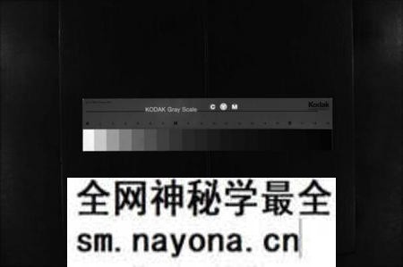 江西彭氏族谱-菰塘东彭氏赤岸分派谱 [不分卷].pdf电子版预览图