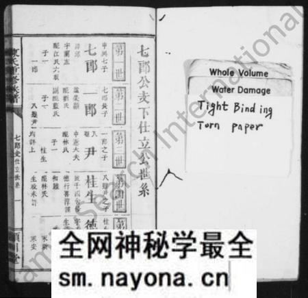 湖南陈氏族谱-陈氏族谱 [残卷].pdf电子版预览图1