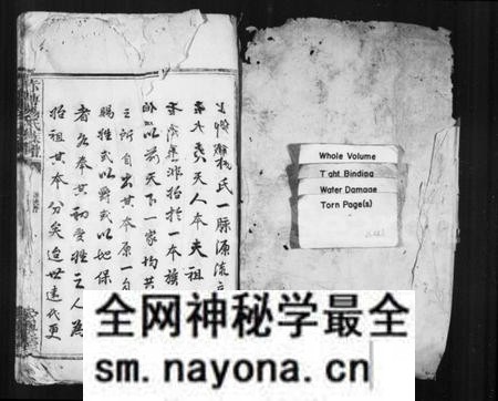 湖南杨氏族谱-浏东杨氏族谱 [不分卷].pdf电子版预览图2