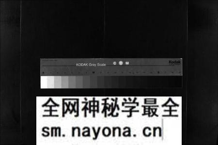 湖南李氏族谱-李氏族谱 [残卷].pdf电子版预览图