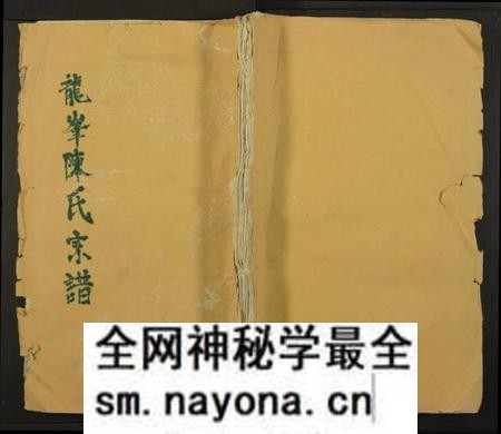 江西陈氏族谱-龙峯陈氏宗谱[残卷].pdf电子版预览图