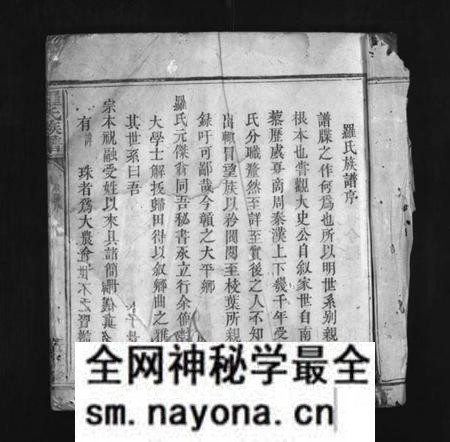 江西罗氏族谱-罗氏宗谱 [残卷].pdf电子版预览图1