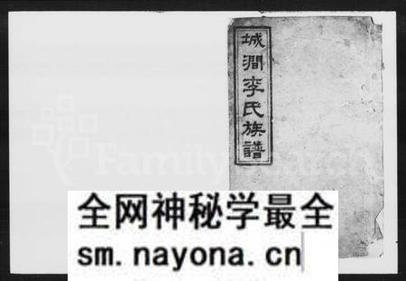 湖南李氏族谱-李氏三修族谱 [29卷,首2卷,末1卷].pdf电子版预览图