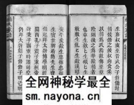 江西未知族谱-杨氏家谱 [不分卷].pdf电子版预览图3