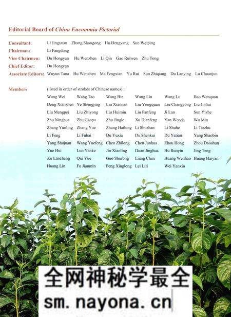 《中国杜仲图志》.pdf电子版_其他志预览图5 《中国杜仲图志》.pdf电子版_其他志预览图5