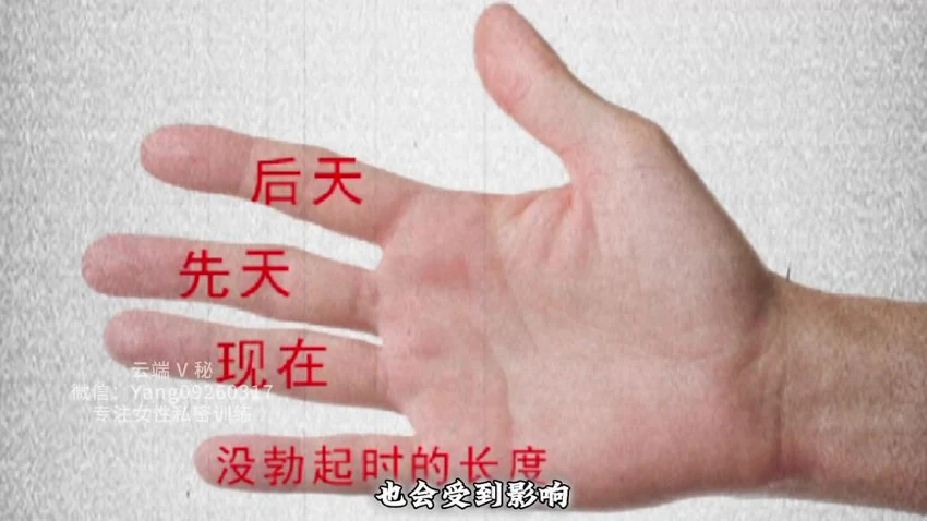 男女私密《男女私密 手诊》视频6集