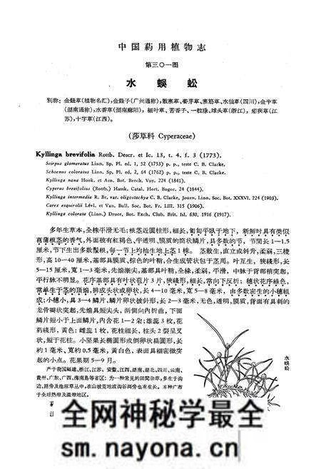 《《中国药用植物志(第七册)》》.pdf电子版_其他志预览图3